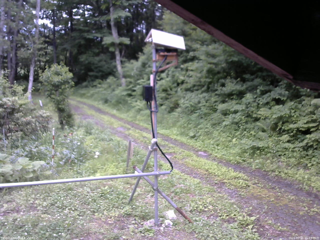 長野県菅平高原 ゆたか山荘 南側 2026/07/01 15:15
