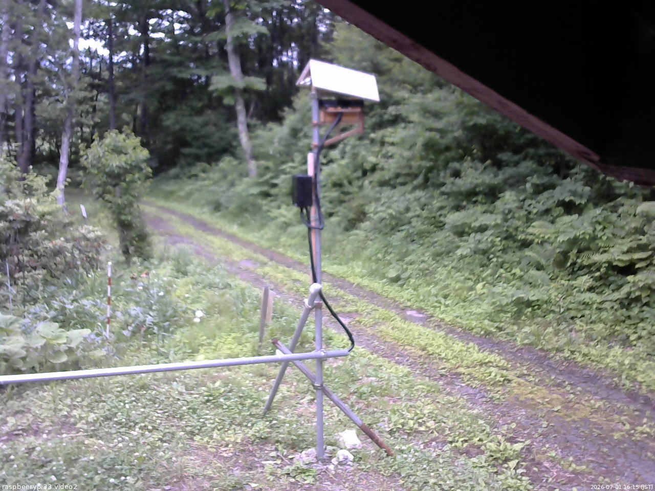 長野県菅平高原 ゆたか山荘 南側 2026/07/01 16:15