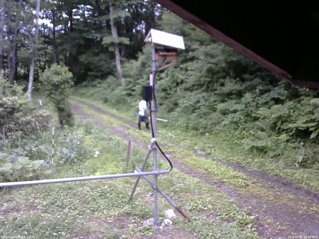 長野県菅平高原 ゆたか山荘 南側 2026/07/01 16:30