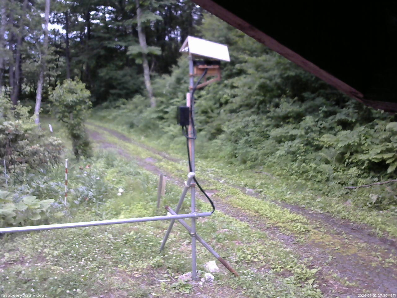 長野県菅平高原 ゆたか山荘 南側 2026/07/01 17:30