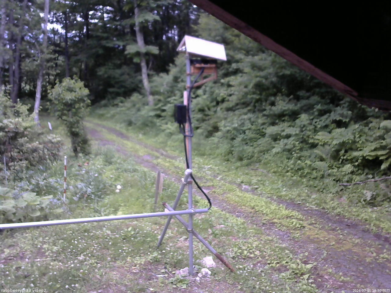 長野県菅平高原 ゆたか山荘 南側 2026/07/01 18:30