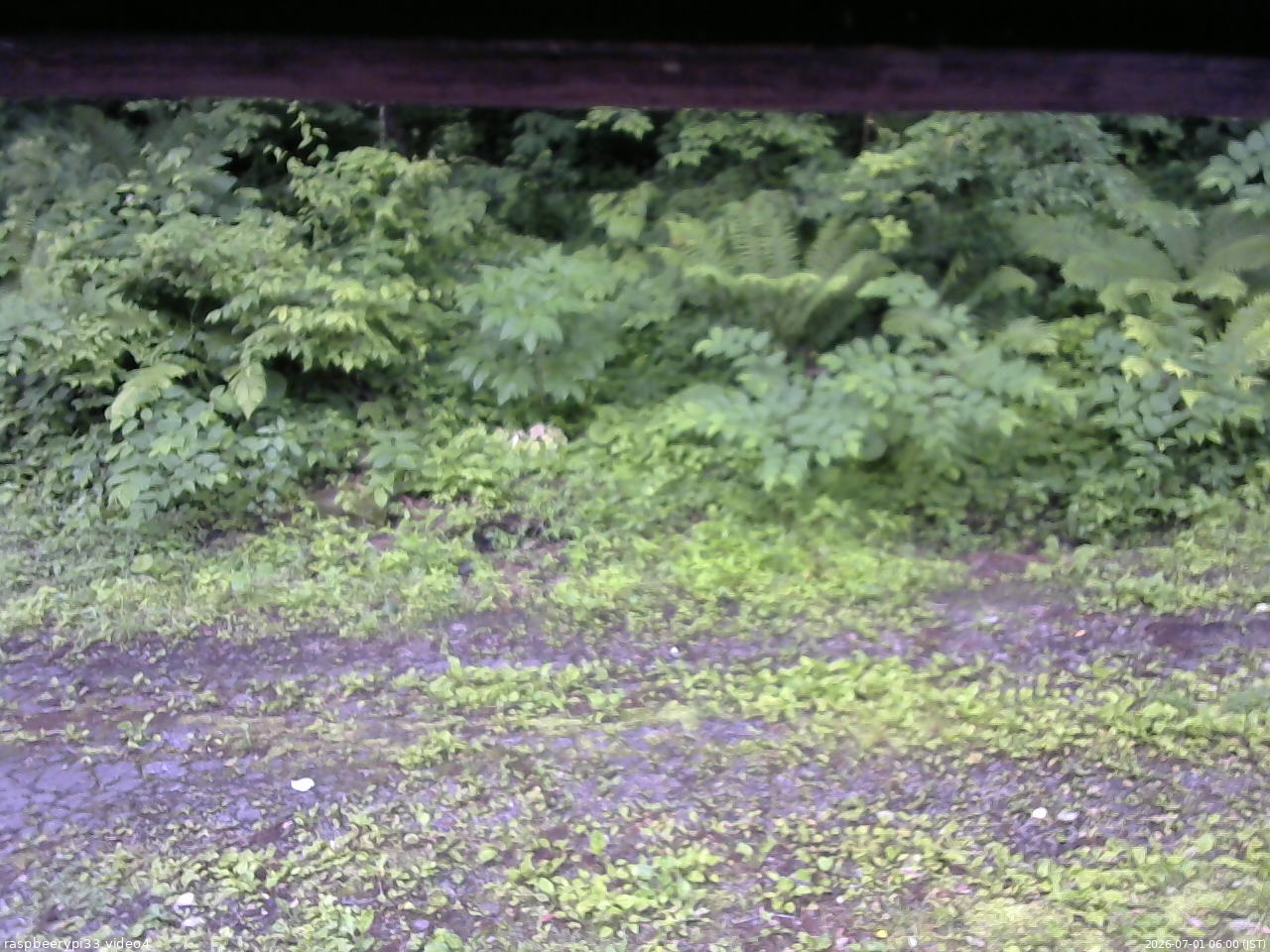 長野県菅平高原 ゆたか山荘 東側(坂下) 2026/07/01 06:00