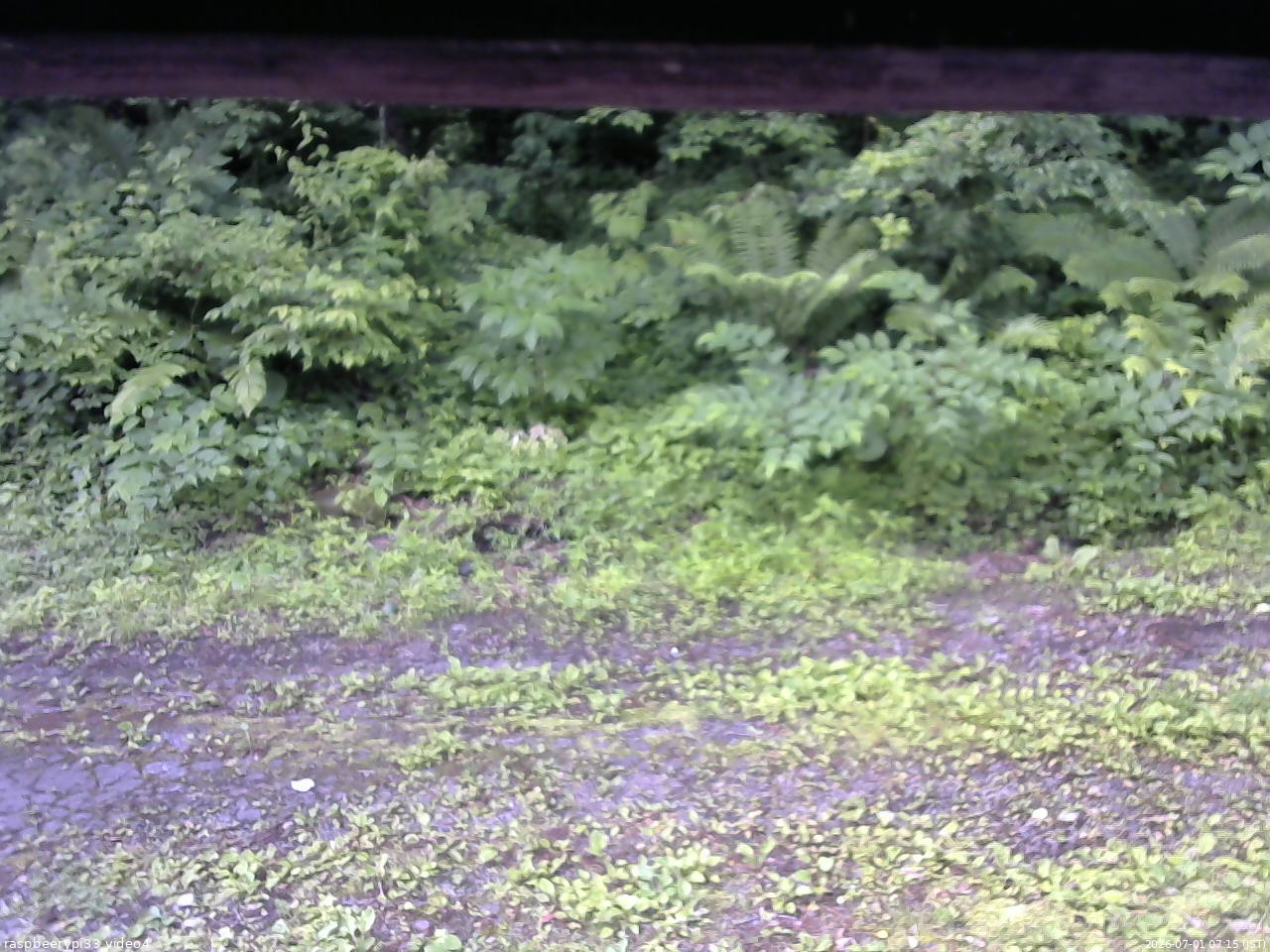 長野県菅平高原 ゆたか山荘 東側(坂下) 2026/07/01 07:15