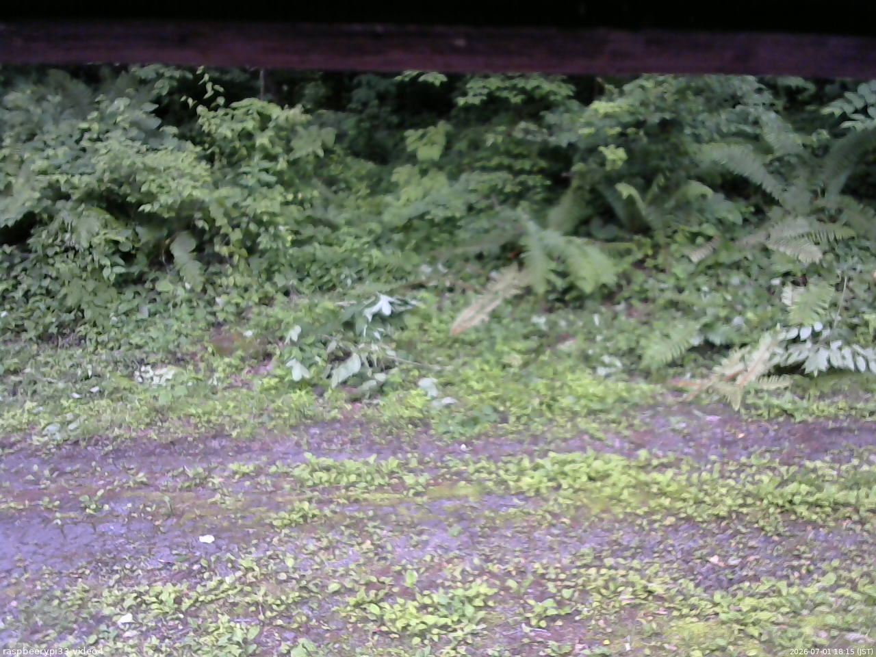 長野県菅平高原 ゆたか山荘 東側(坂下) 2026/07/01 18:15
