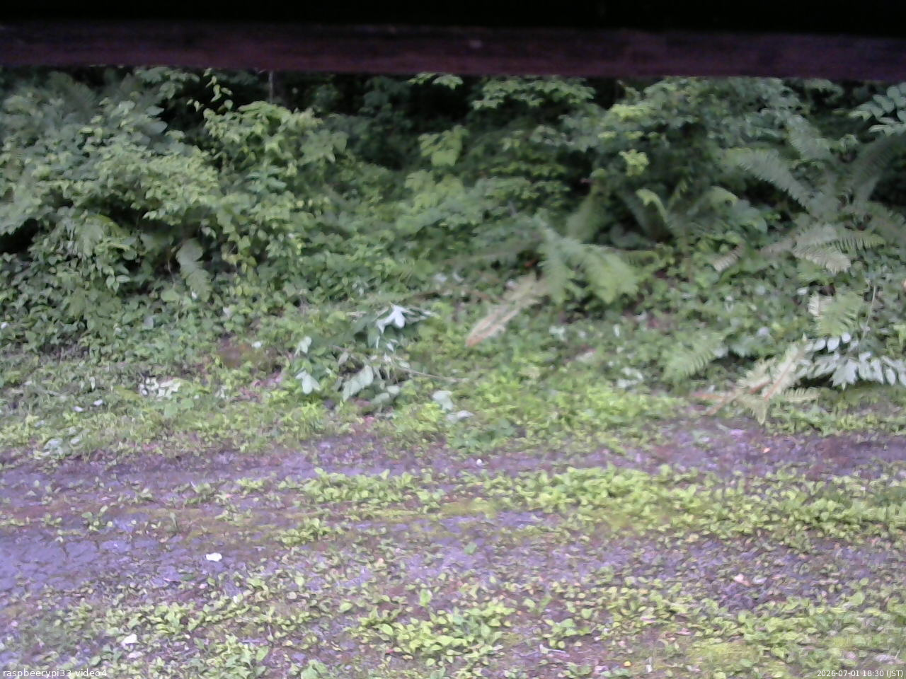 長野県菅平高原 ゆたか山荘 東側(坂下) 2026/07/01 18:30