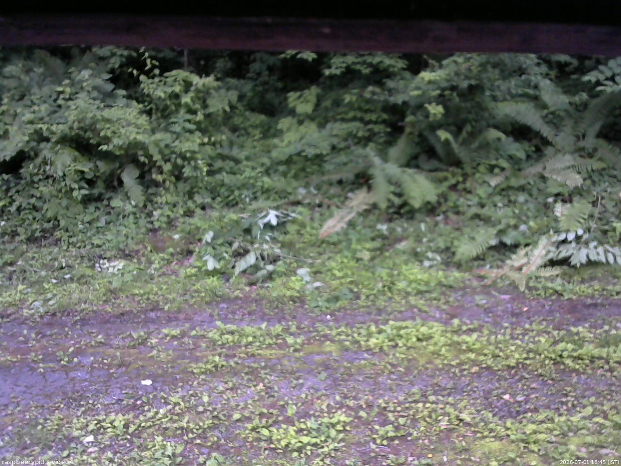 長野県菅平高原 ゆたか山荘 東側(坂下) 2026/07/01 18:45