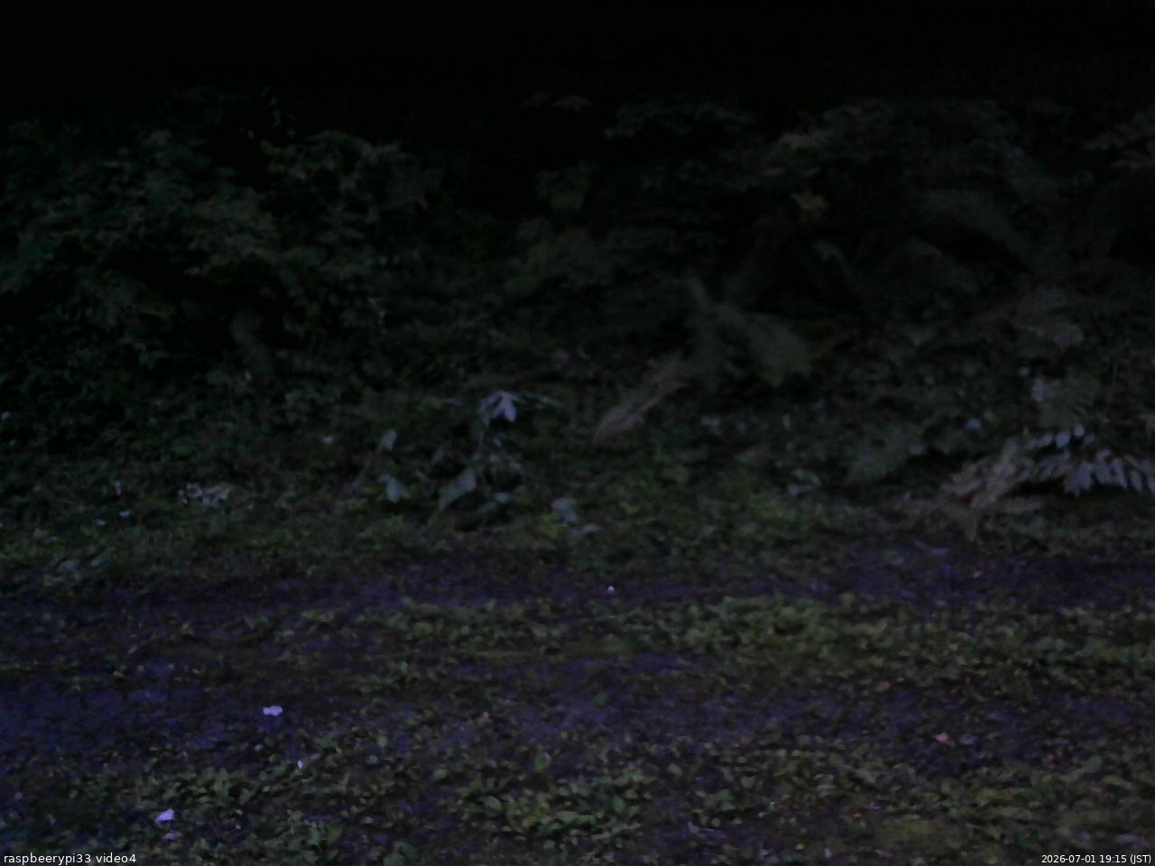 長野県菅平高原 ゆたか山荘 東側(坂下) 2026/07/01 19:15