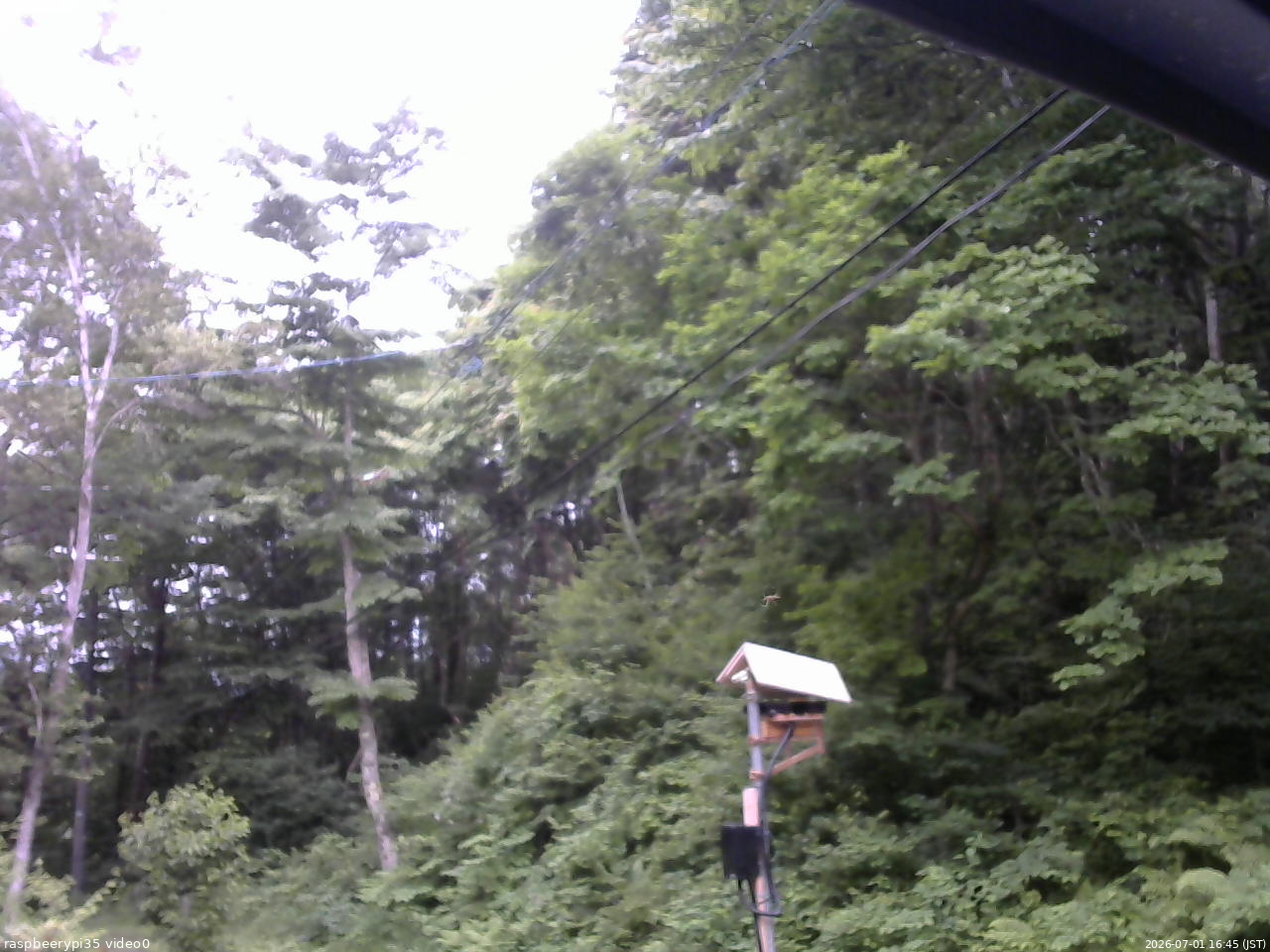 長野県菅平高原 ゆたか山荘 温度計 2026/07/01 16:45