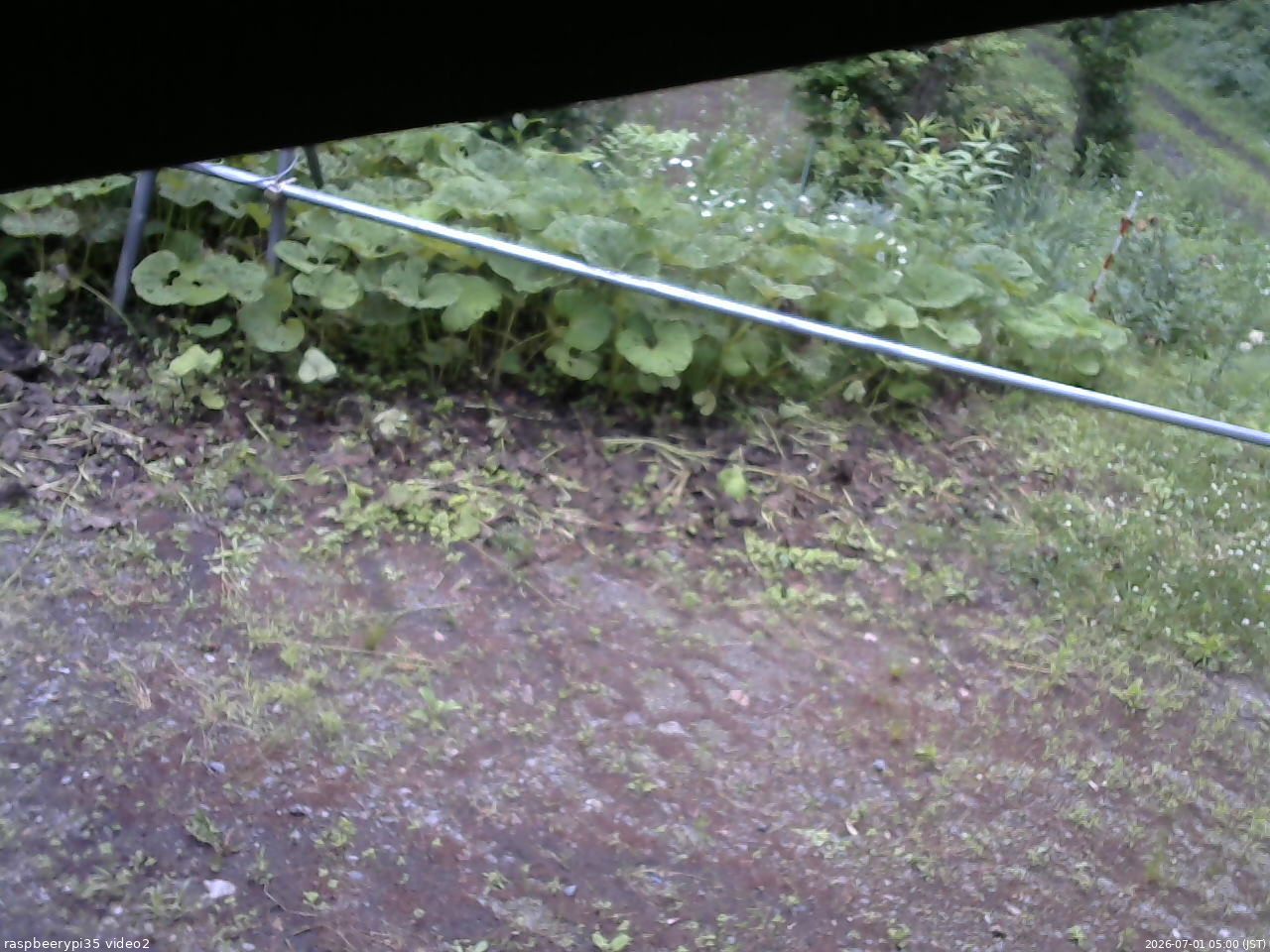 長野県菅平高原 ゆたか山荘 駐車場 2026/07/01 05:00