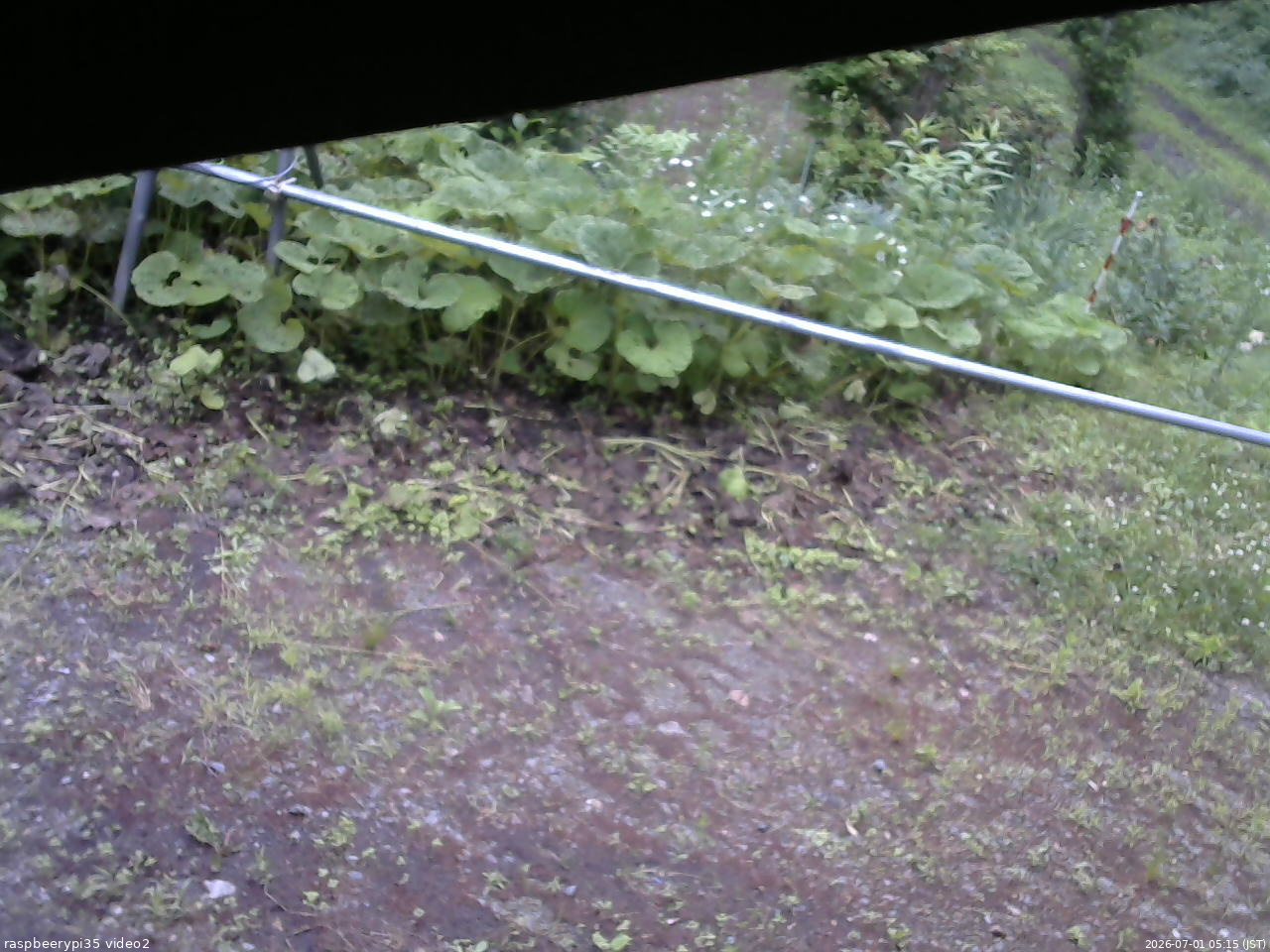 長野県菅平高原 ゆたか山荘 駐車場 2026/07/01 05:15