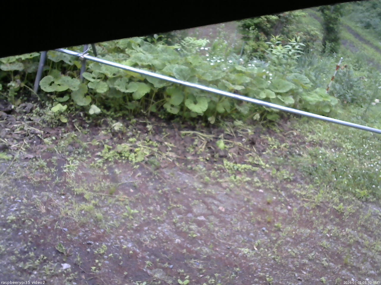 長野県菅平高原 ゆたか山荘 駐車場 2026/07/01 05:30