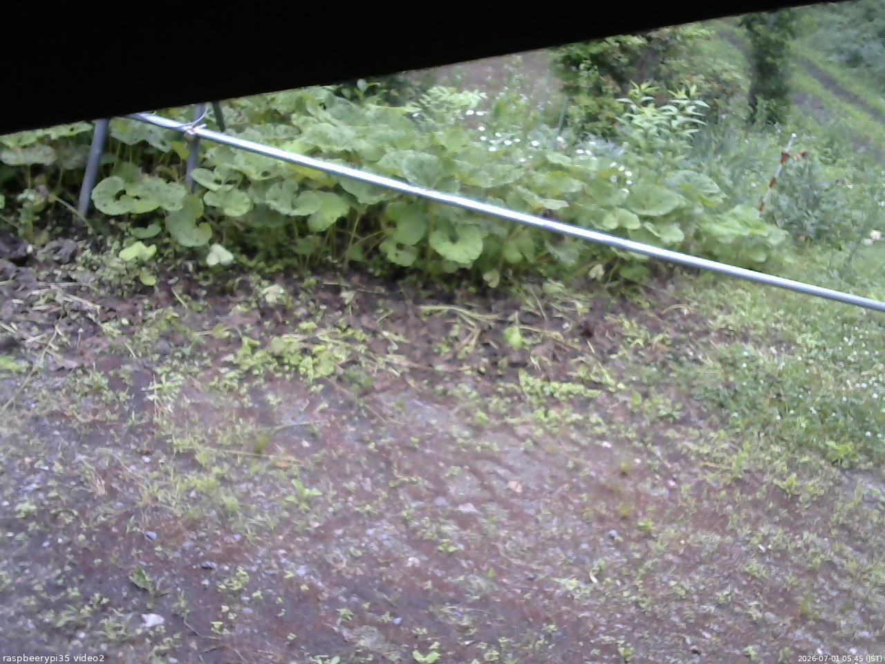 長野県菅平高原 ゆたか山荘 駐車場 2026/07/01 05:45