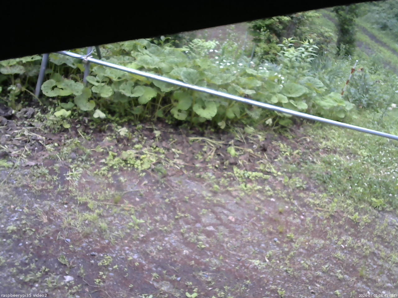 長野県菅平高原 ゆたか山荘 駐車場 2026/07/01 06:45