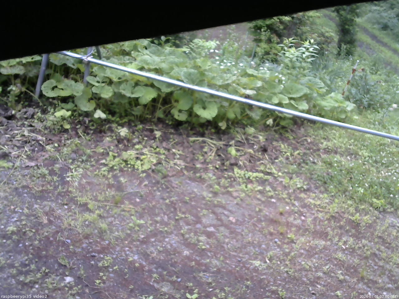 長野県菅平高原 ゆたか山荘 駐車場 2026/07/01 07:00