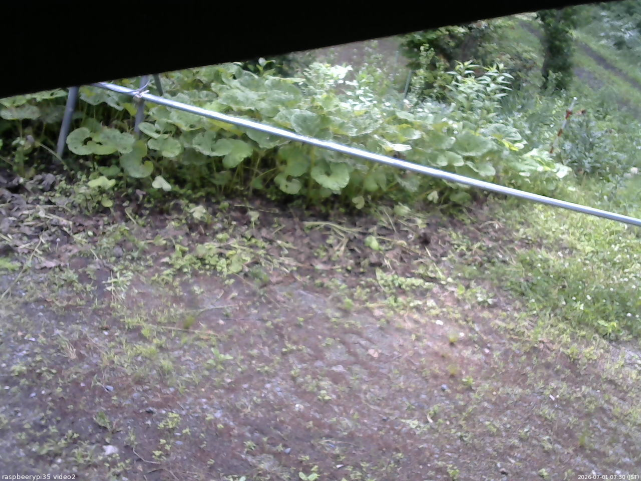 長野県菅平高原 ゆたか山荘 駐車場 2026/07/01 07:30