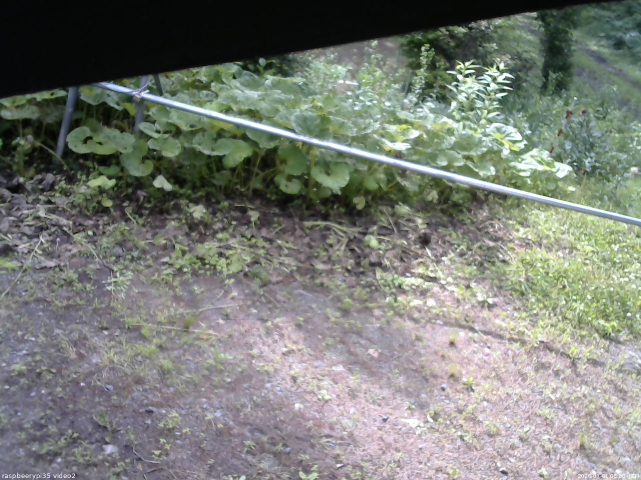 長野県菅平高原 ゆたか山荘 駐車場 2026/07/01 08:00
