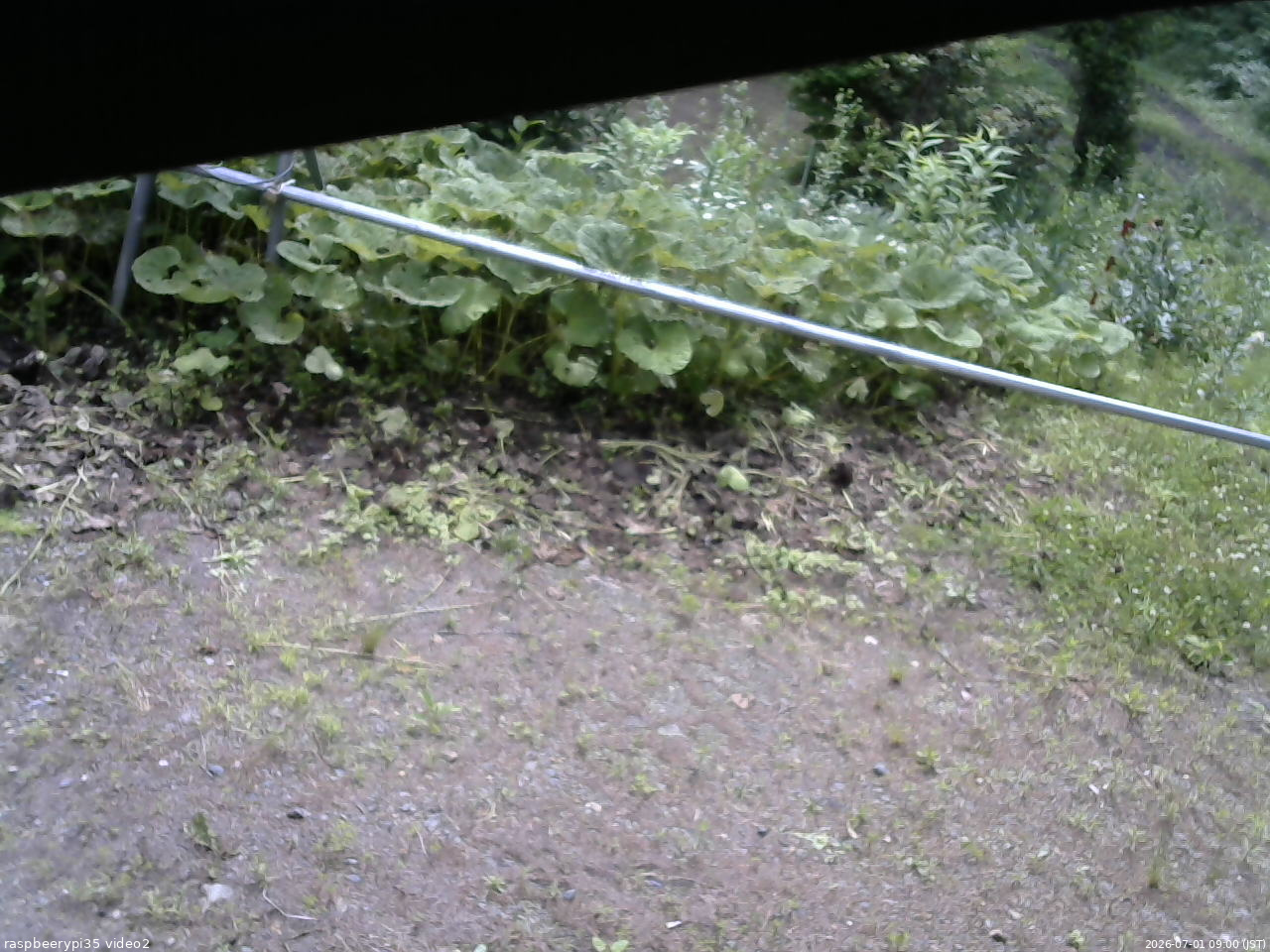長野県菅平高原 ゆたか山荘 駐車場 2026/07/01 09:00