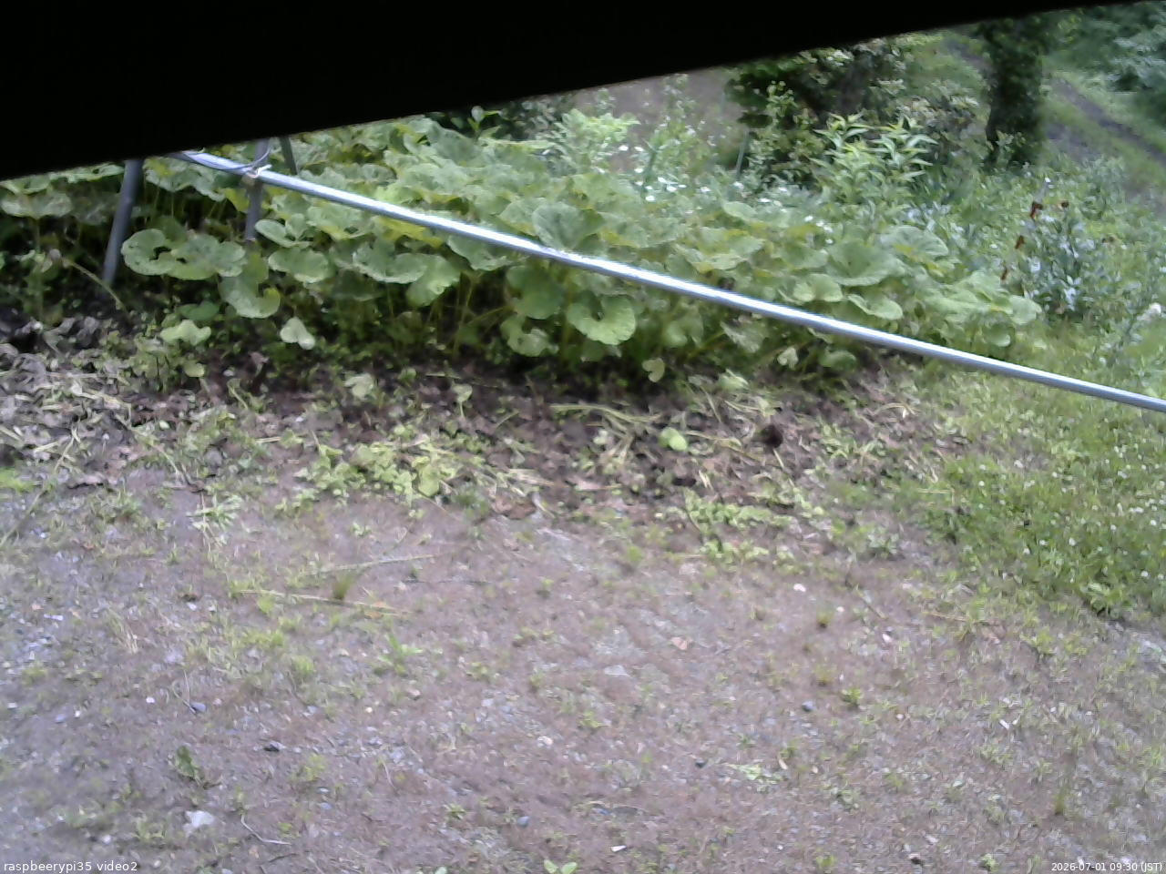 長野県菅平高原 ゆたか山荘 駐車場 2026/07/01 09:30