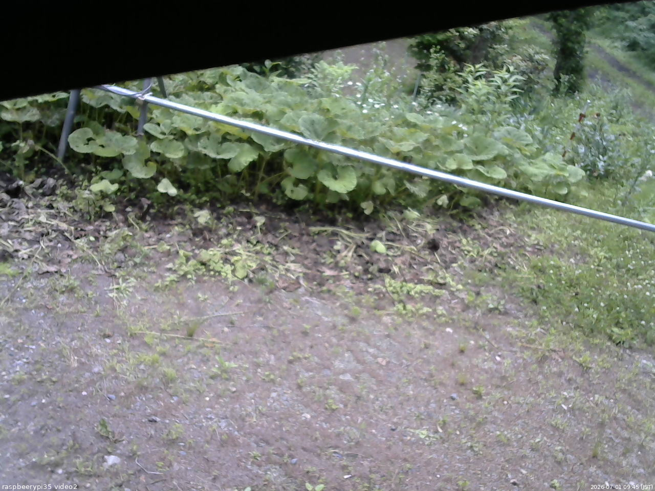 長野県菅平高原 ゆたか山荘 駐車場 2026/07/01 09:45