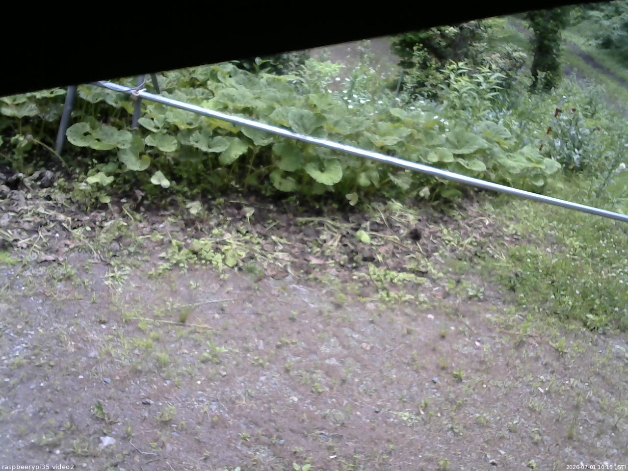 長野県菅平高原 ゆたか山荘 駐車場 2026/07/01 10:15