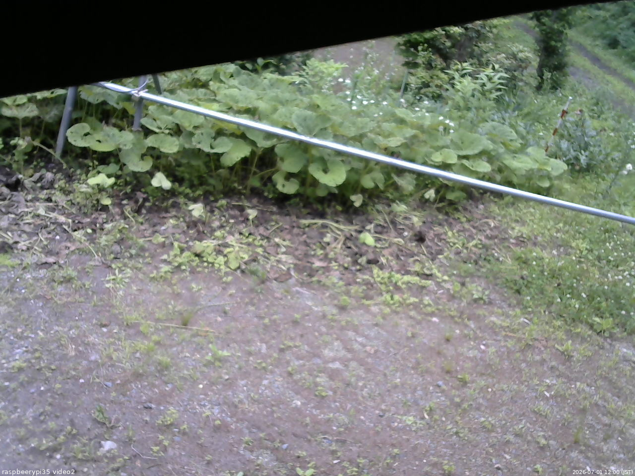 長野県菅平高原 ゆたか山荘 駐車場 2026/07/01 12:00