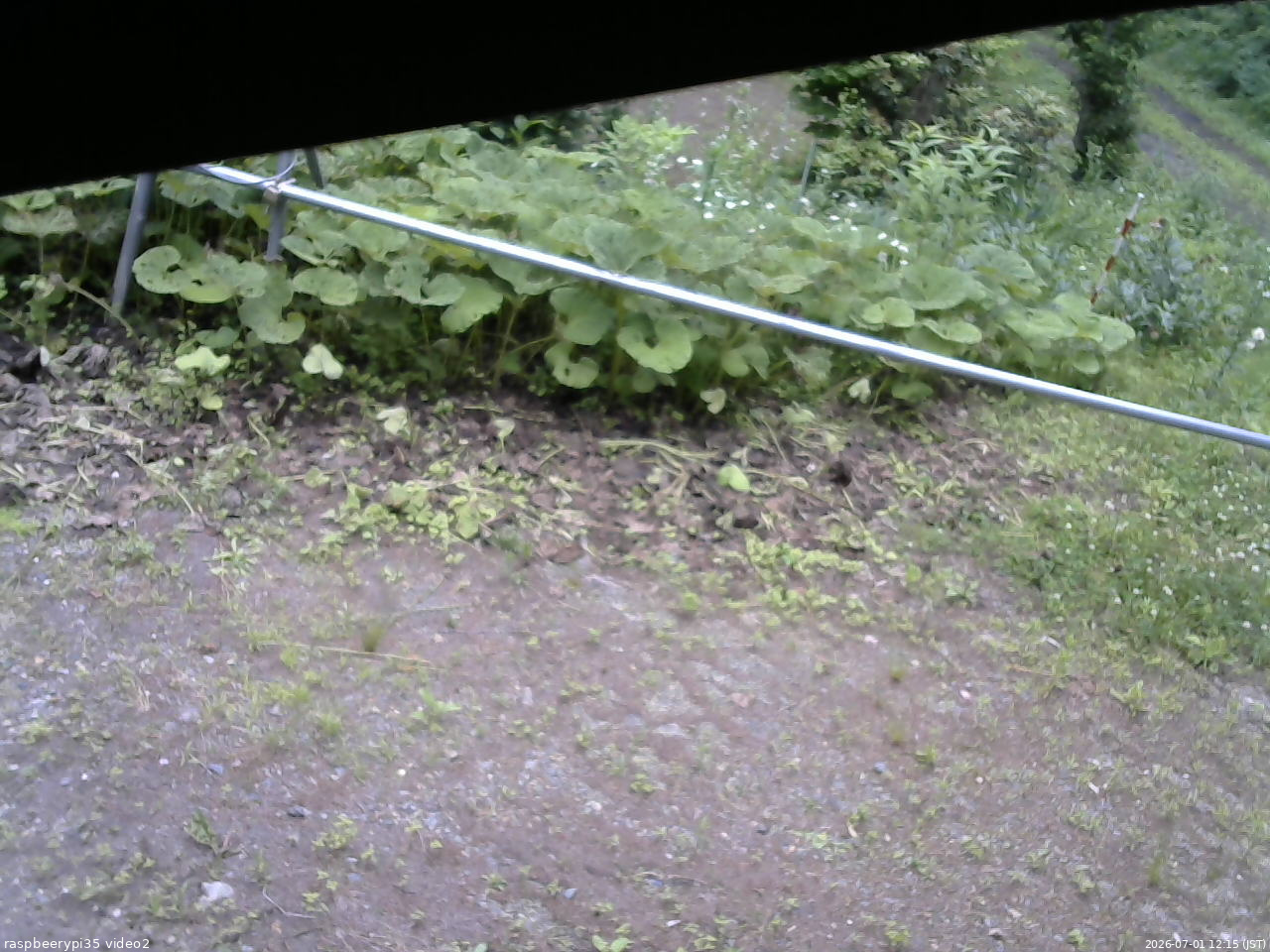 長野県菅平高原 ゆたか山荘 駐車場 2026/07/01 12:15