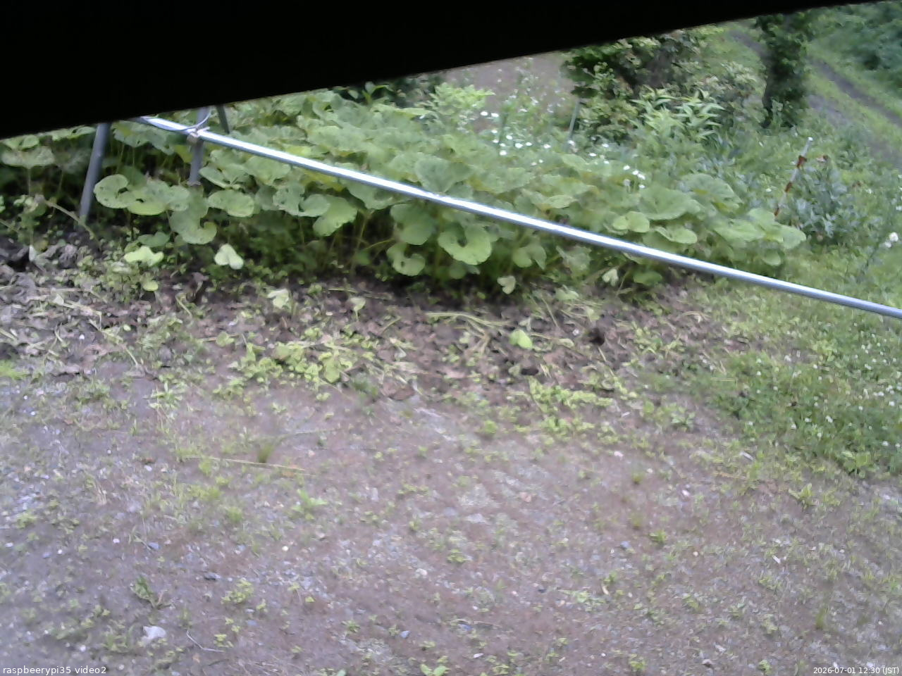 長野県菅平高原 ゆたか山荘 駐車場 2026/07/01 12:30