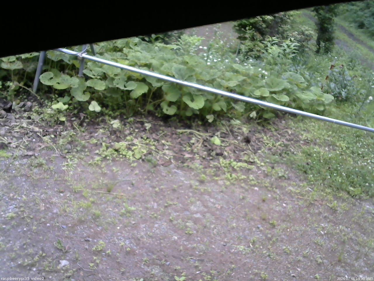 長野県菅平高原 ゆたか山荘 駐車場 2026/07/01 14:30