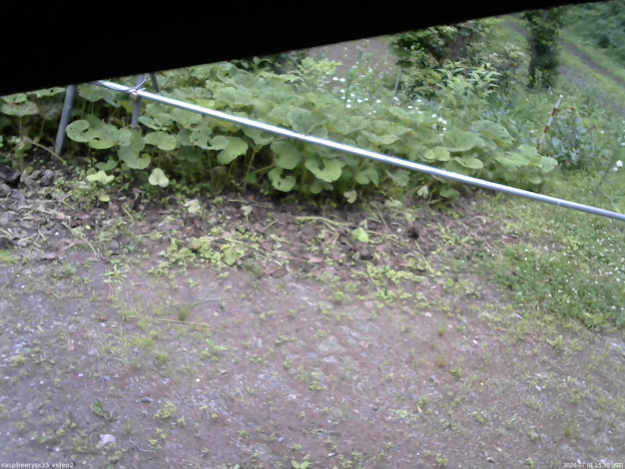 長野県菅平高原 ゆたか山荘 駐車場 2026/07/01 15:30