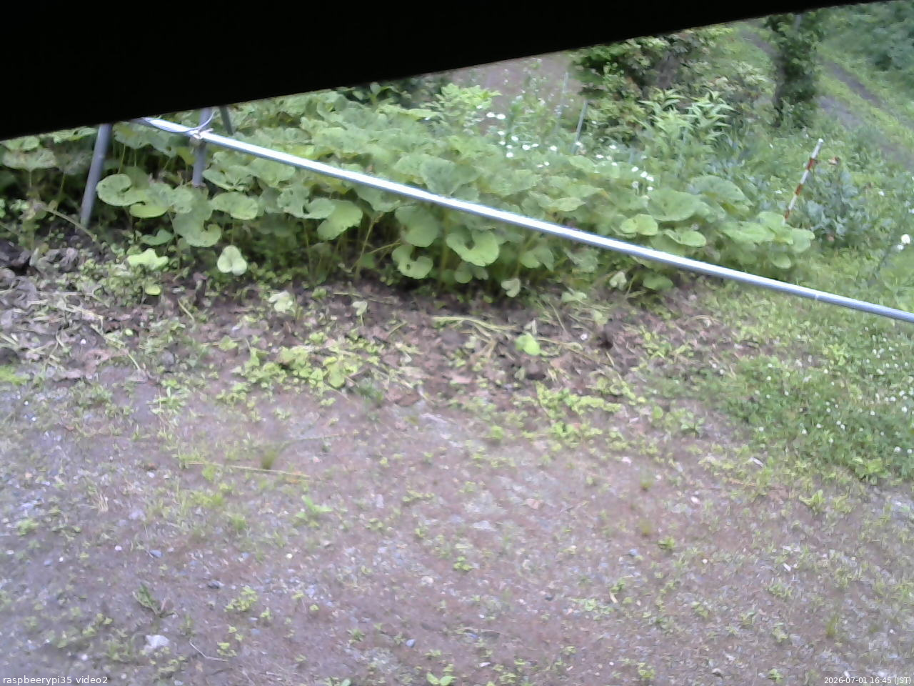 長野県菅平高原 ゆたか山荘 駐車場 2026/07/01 16:45