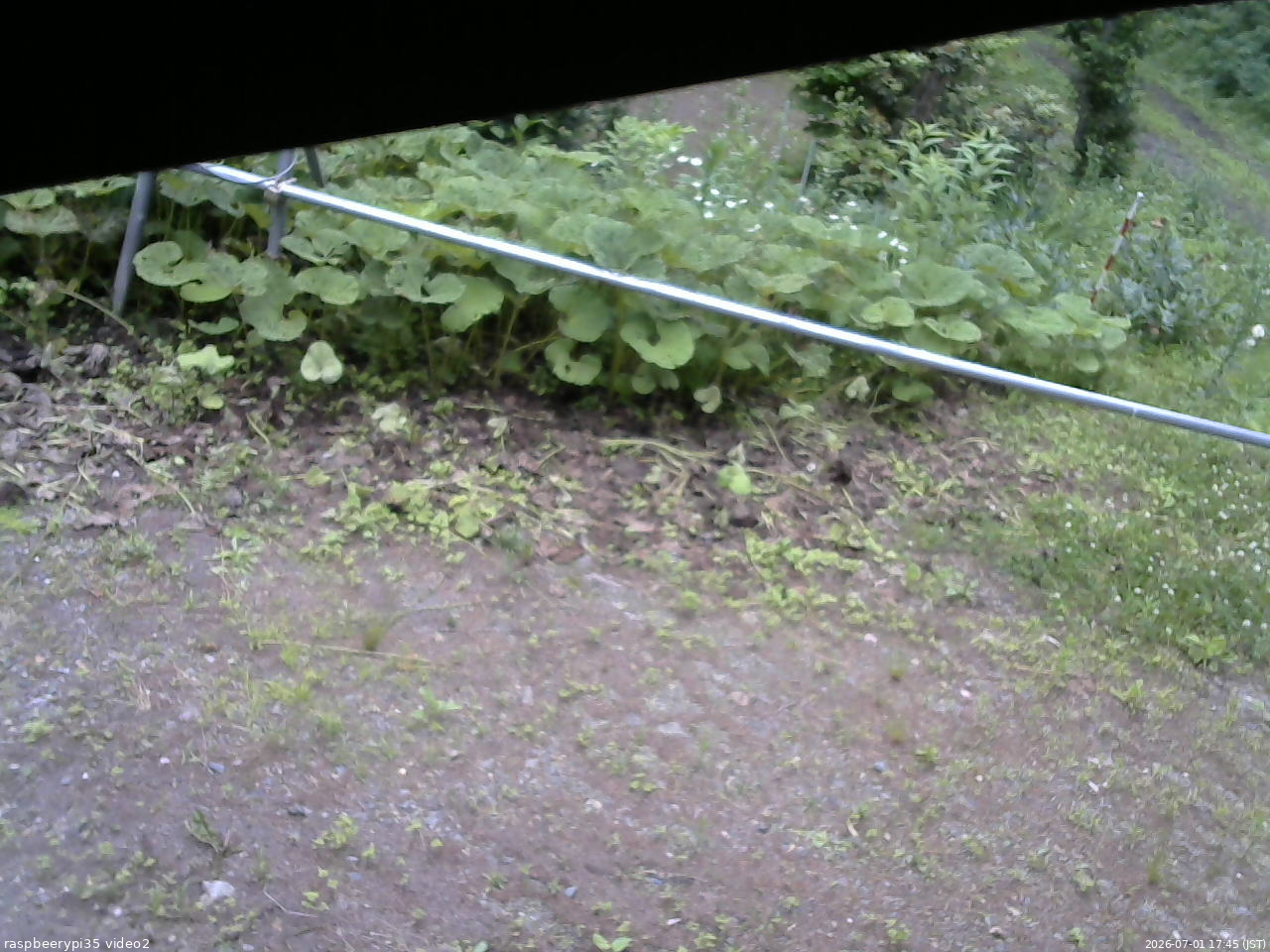 長野県菅平高原 ゆたか山荘 駐車場 2026/07/01 17:45