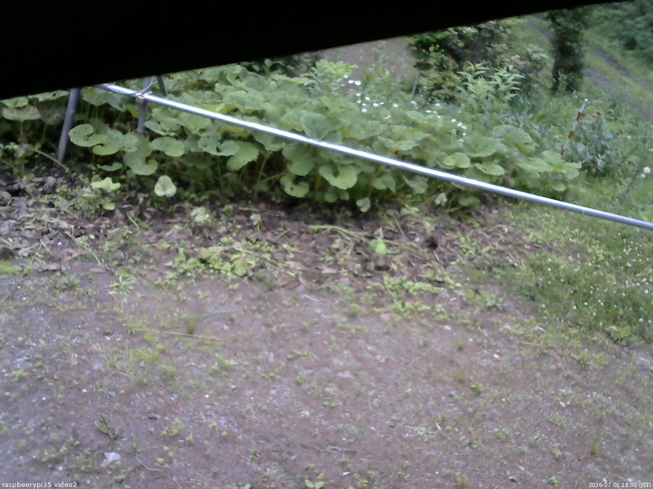 長野県菅平高原 ゆたか山荘 駐車場 2026/07/01 18:00