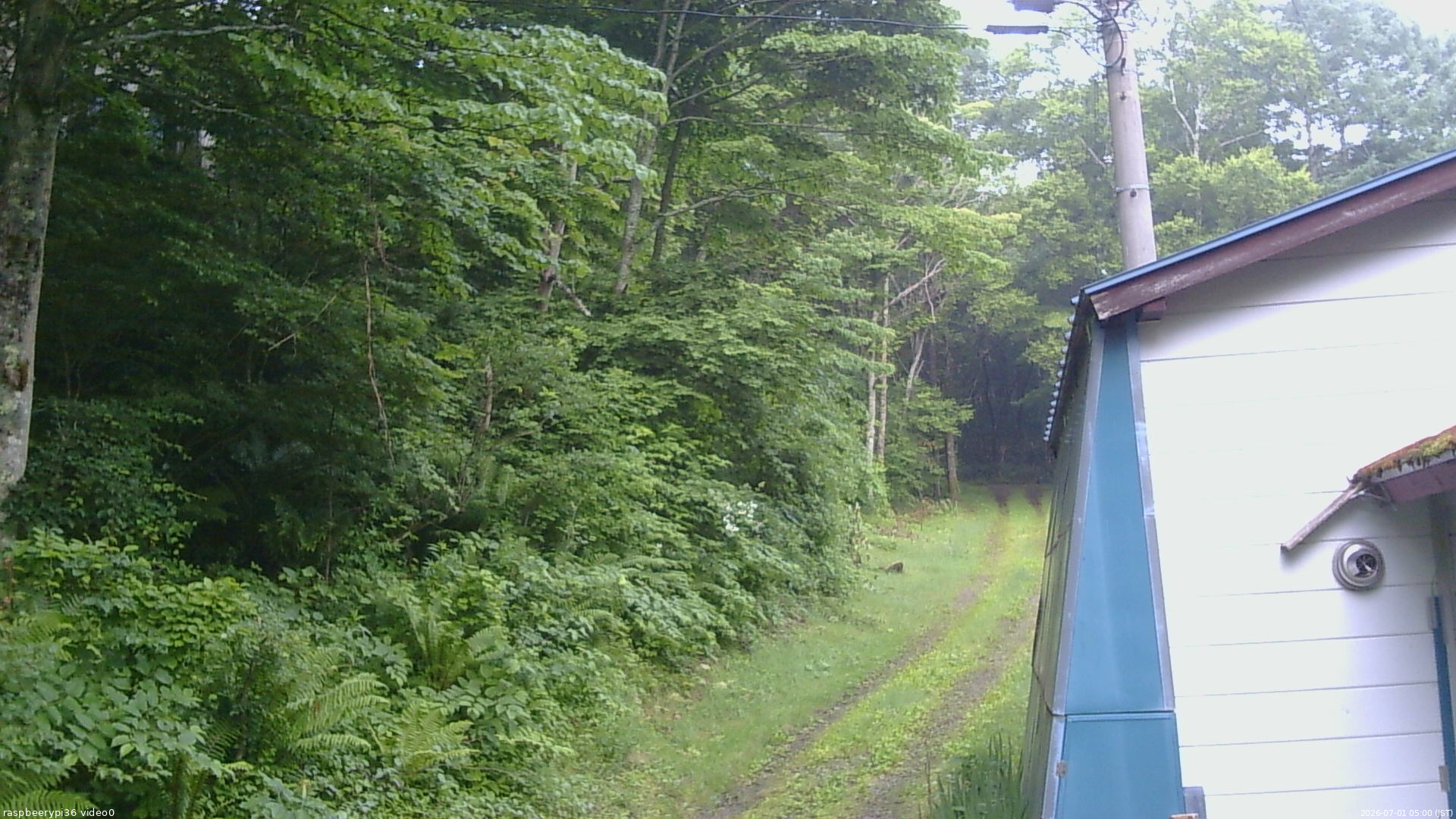 長野県菅平高原 ゆたか山荘 ゆたか山荘 2026/07/01 05:00