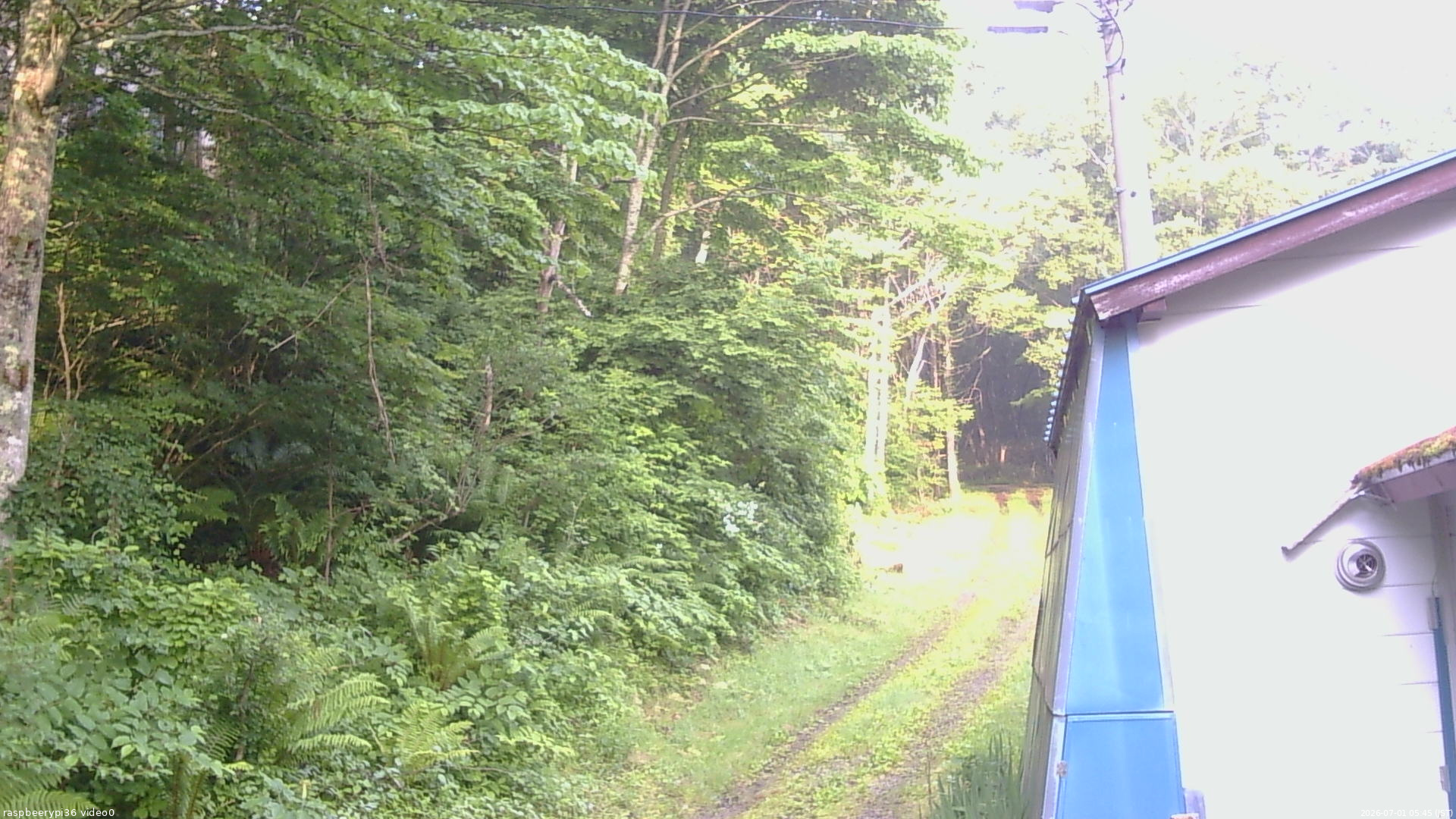 長野県菅平高原 ゆたか山荘 ゆたか山荘 2026/07/01 05:45