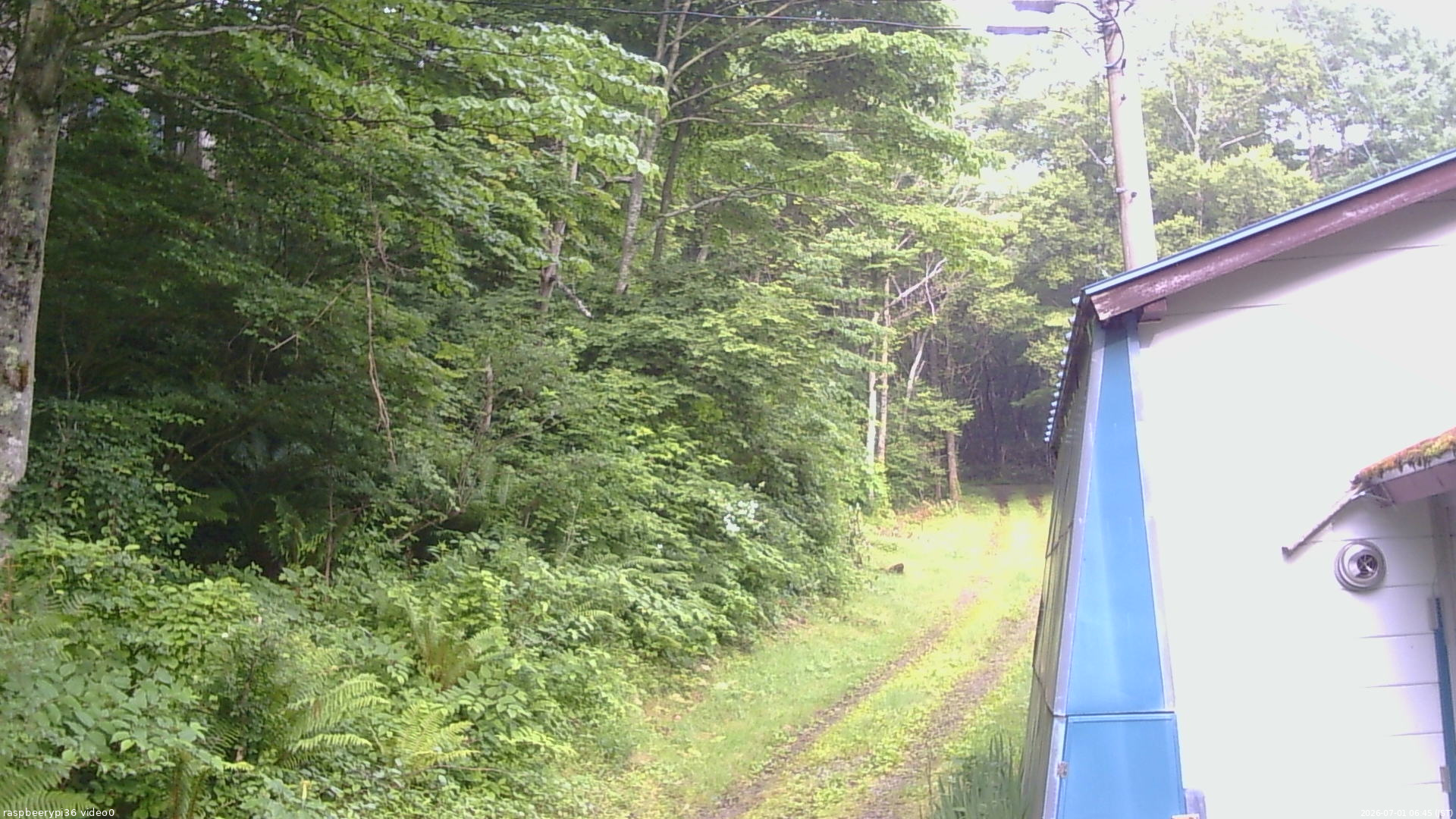 長野県菅平高原 ゆたか山荘 ゆたか山荘 2026/07/01 06:45