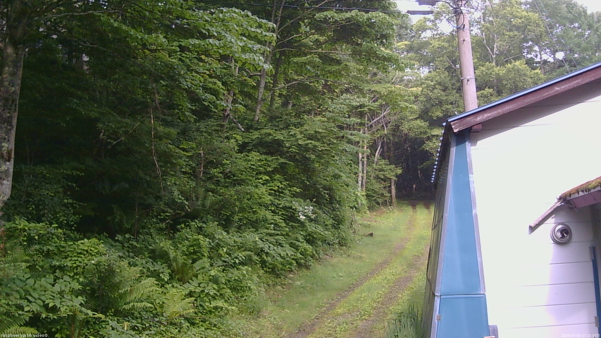 長野県菅平高原 ゆたか山荘 ゆたか山荘 2026/07/01 07:15