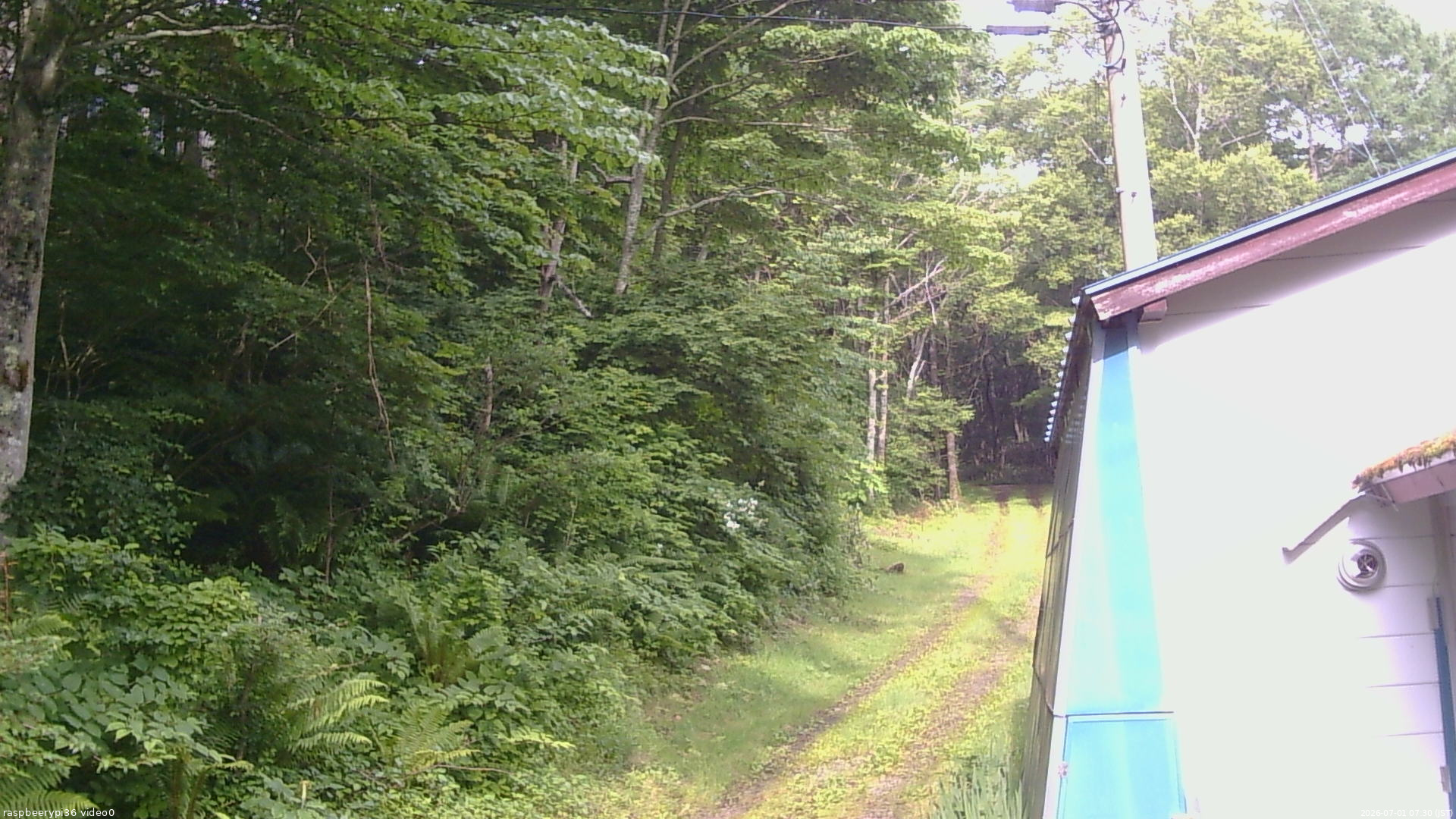 長野県菅平高原 ゆたか山荘 ゆたか山荘 2026/07/01 07:30