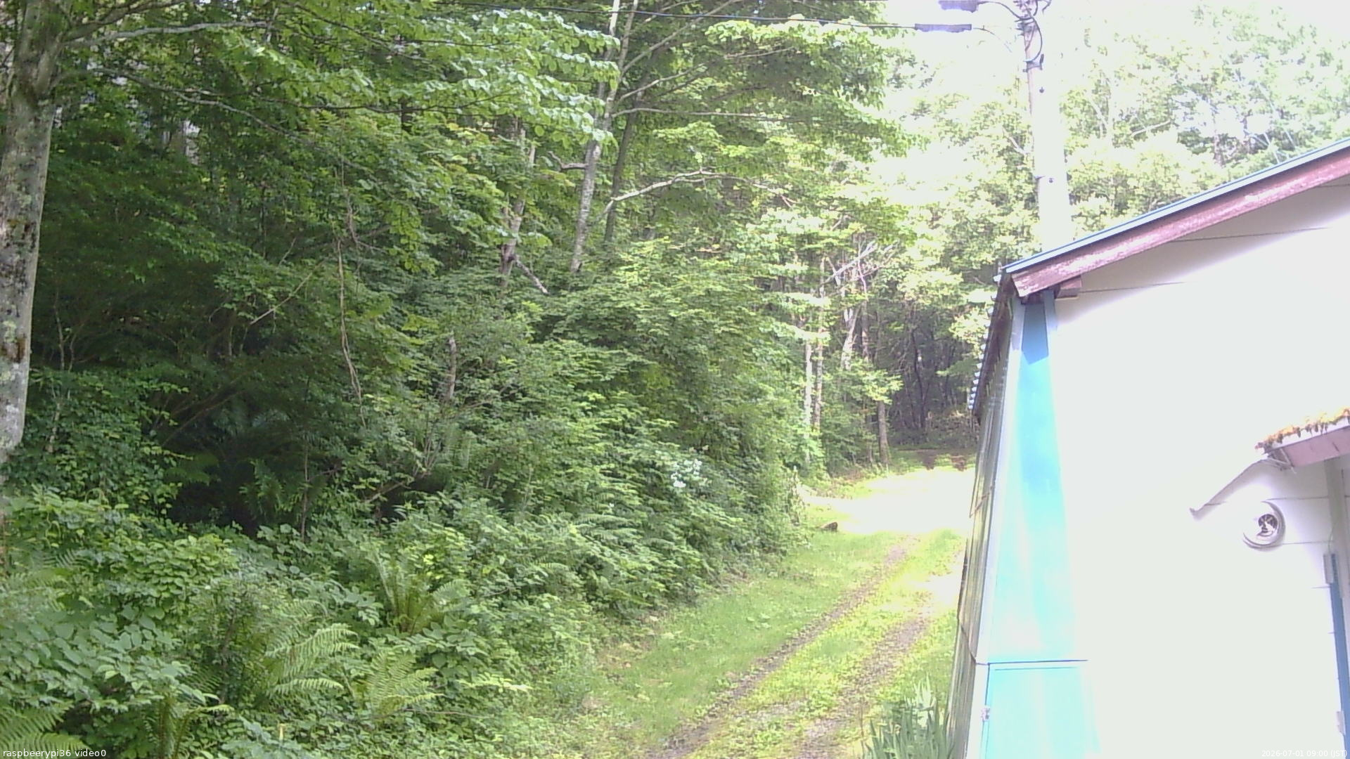 長野県菅平高原 ゆたか山荘 ゆたか山荘 2026/07/01 09:00