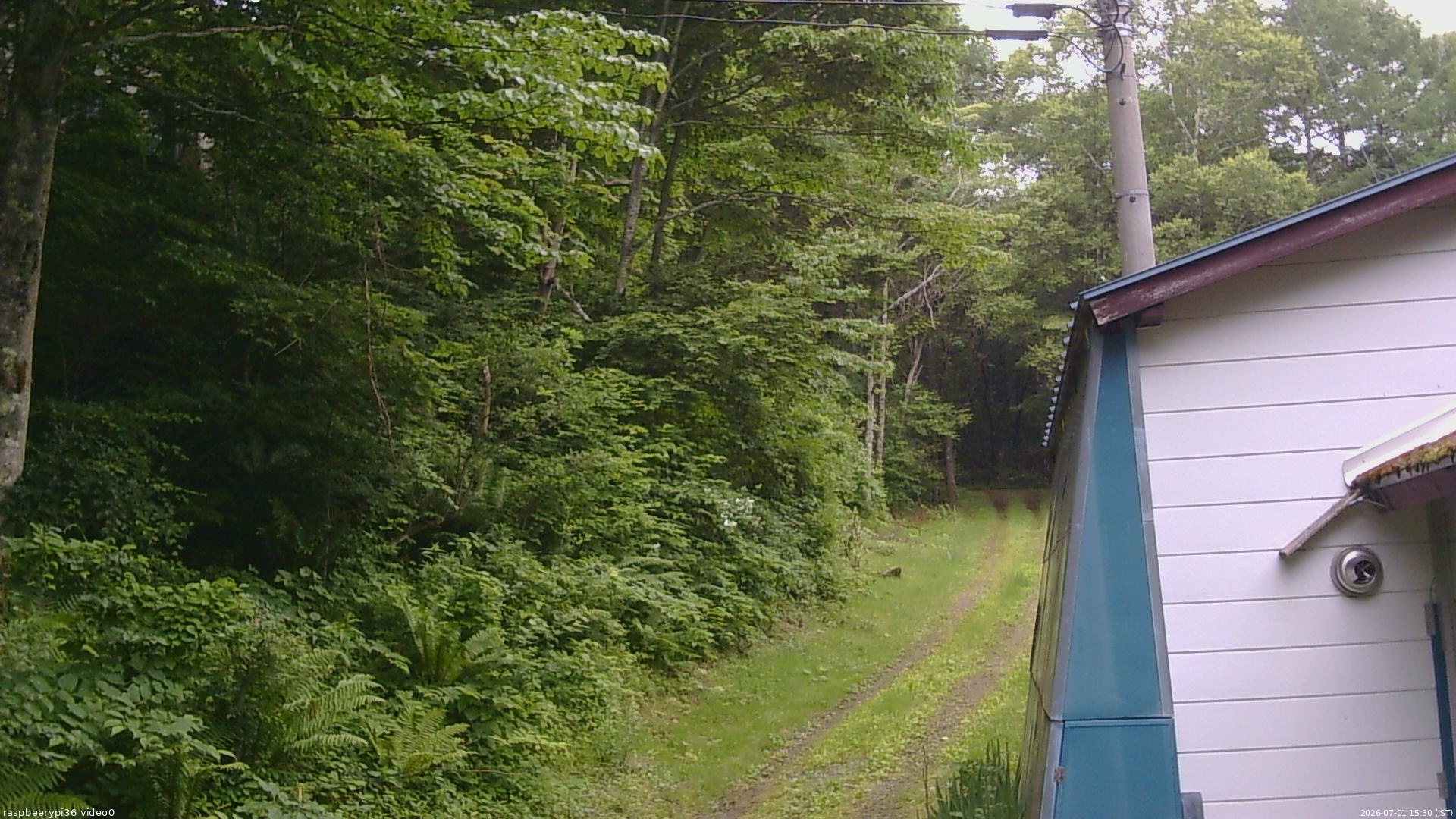 長野県菅平高原 ゆたか山荘 ゆたか山荘 2026/07/01 15:30