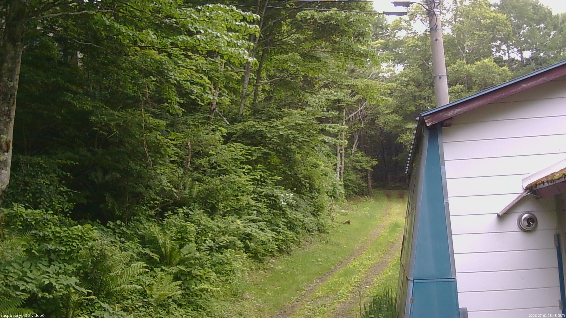 長野県菅平高原 ゆたか山荘 ゆたか山荘 2026/07/01 15:45