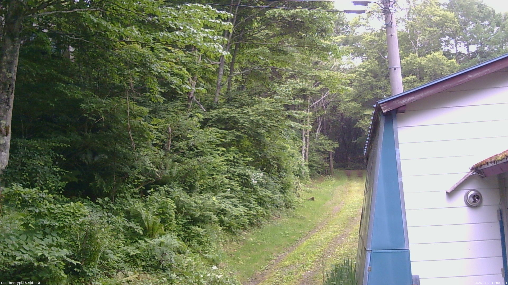 長野県菅平高原 ゆたか山荘 ゆたか山荘 2026/07/01 18:00
