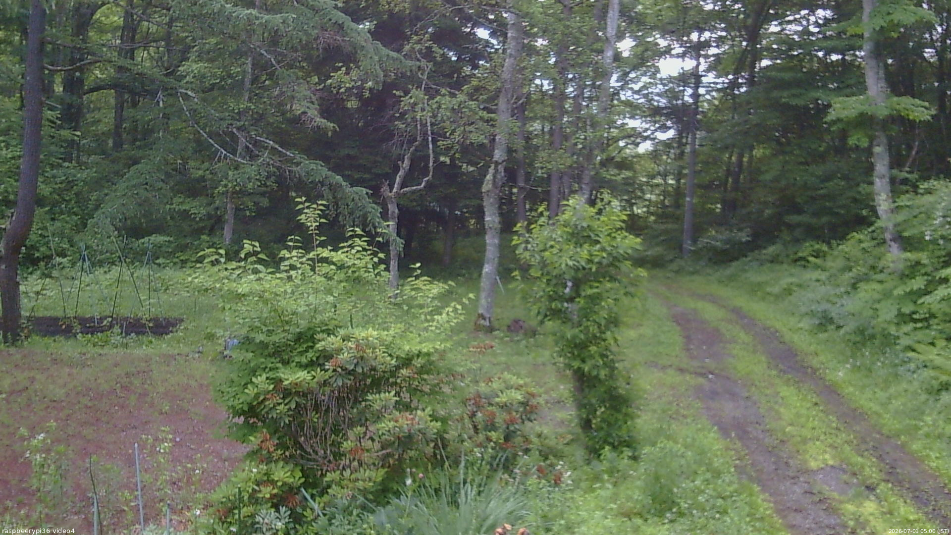 長野県菅平高原 ゆたか山荘 坂上 2026/07/01 05:00