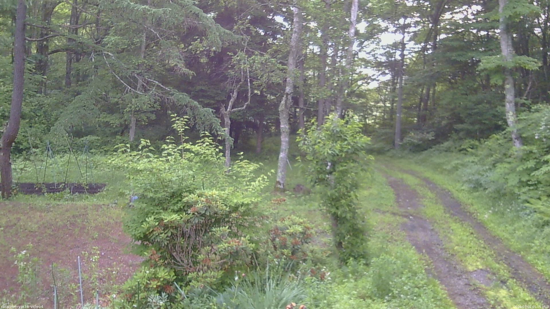 長野県菅平高原 ゆたか山荘 坂上 2026/07/01 05:15