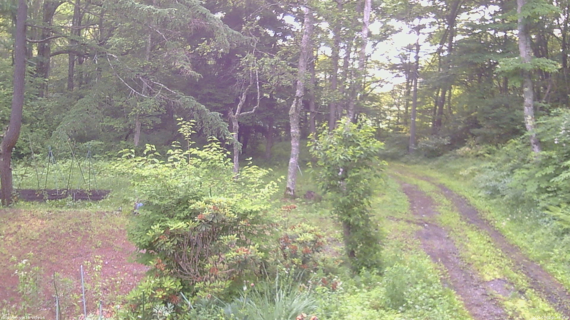 長野県菅平高原 ゆたか山荘 坂上 2026/07/01 05:45