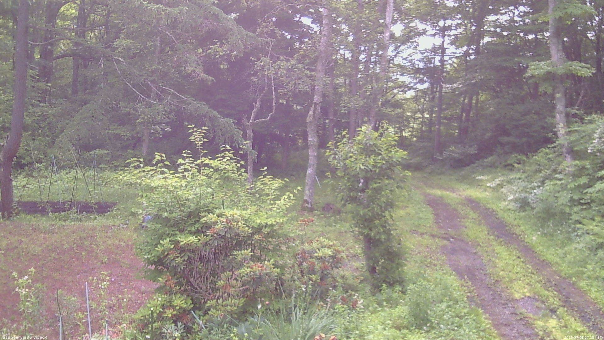 長野県菅平高原 ゆたか山荘 坂上 2026/07/01 07:15