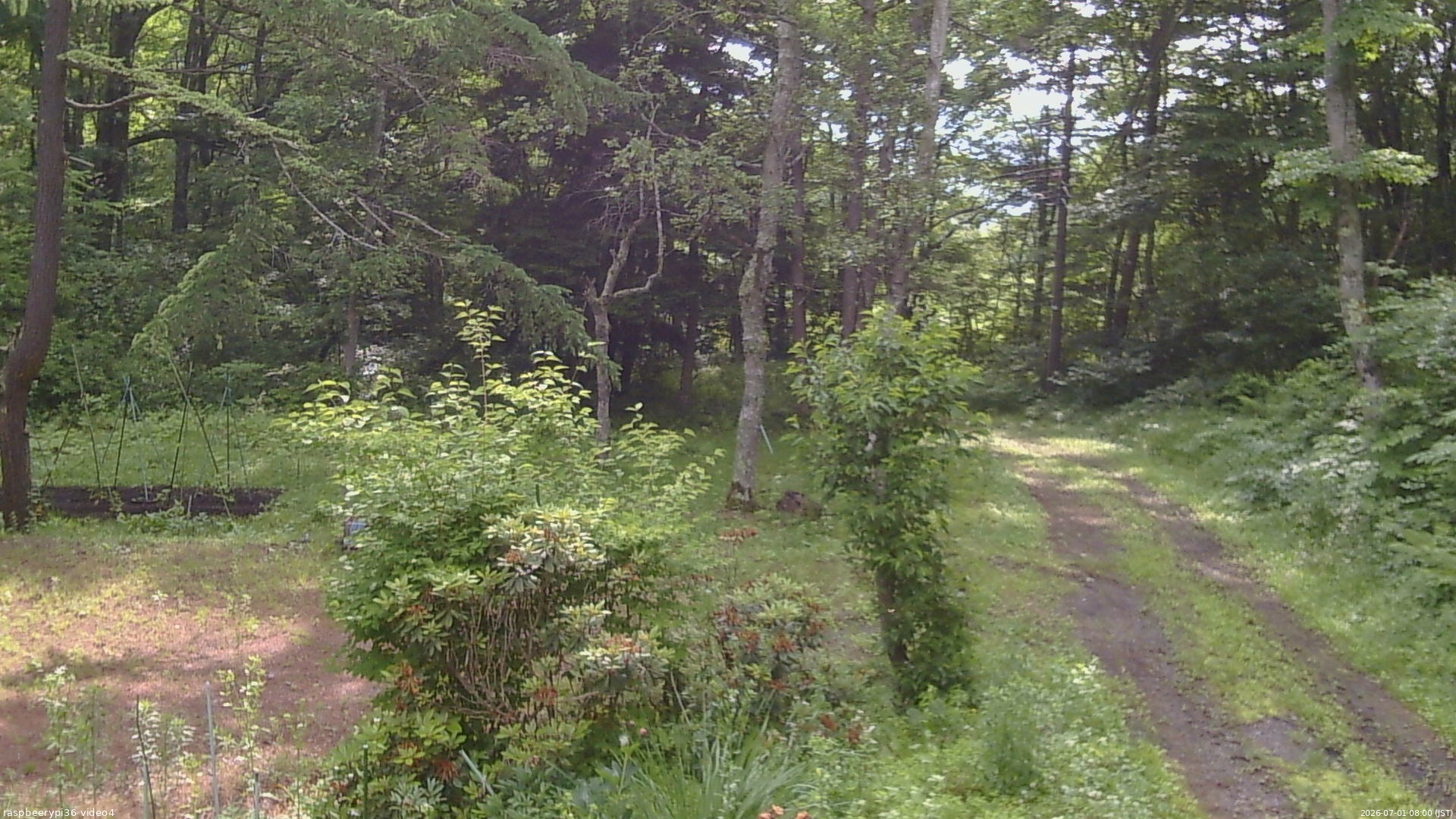 長野県菅平高原 ゆたか山荘 坂上 2026/07/01 08:00
