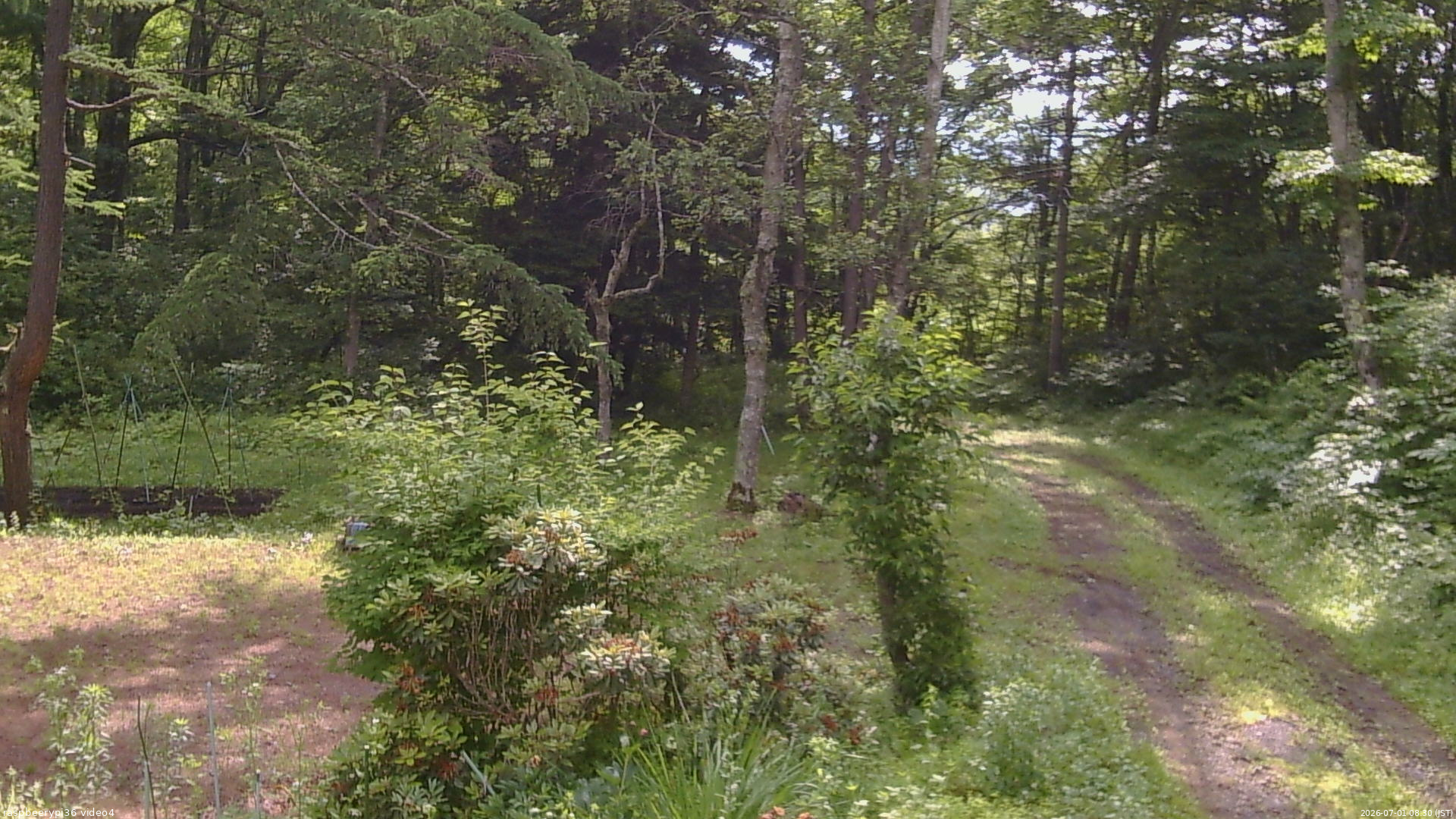 長野県菅平高原 ゆたか山荘 坂上 2026/07/01 08:30