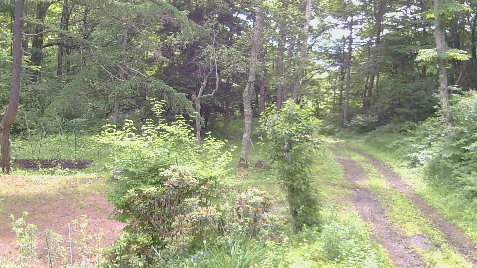 長野県菅平高原 ゆたか山荘 坂上 2026/07/01 09:00