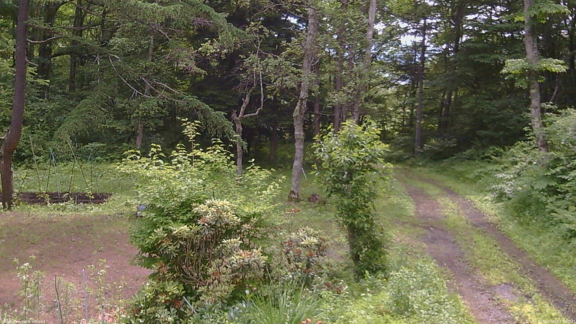 長野県菅平高原 ゆたか山荘 坂上 2026/07/01 09:30