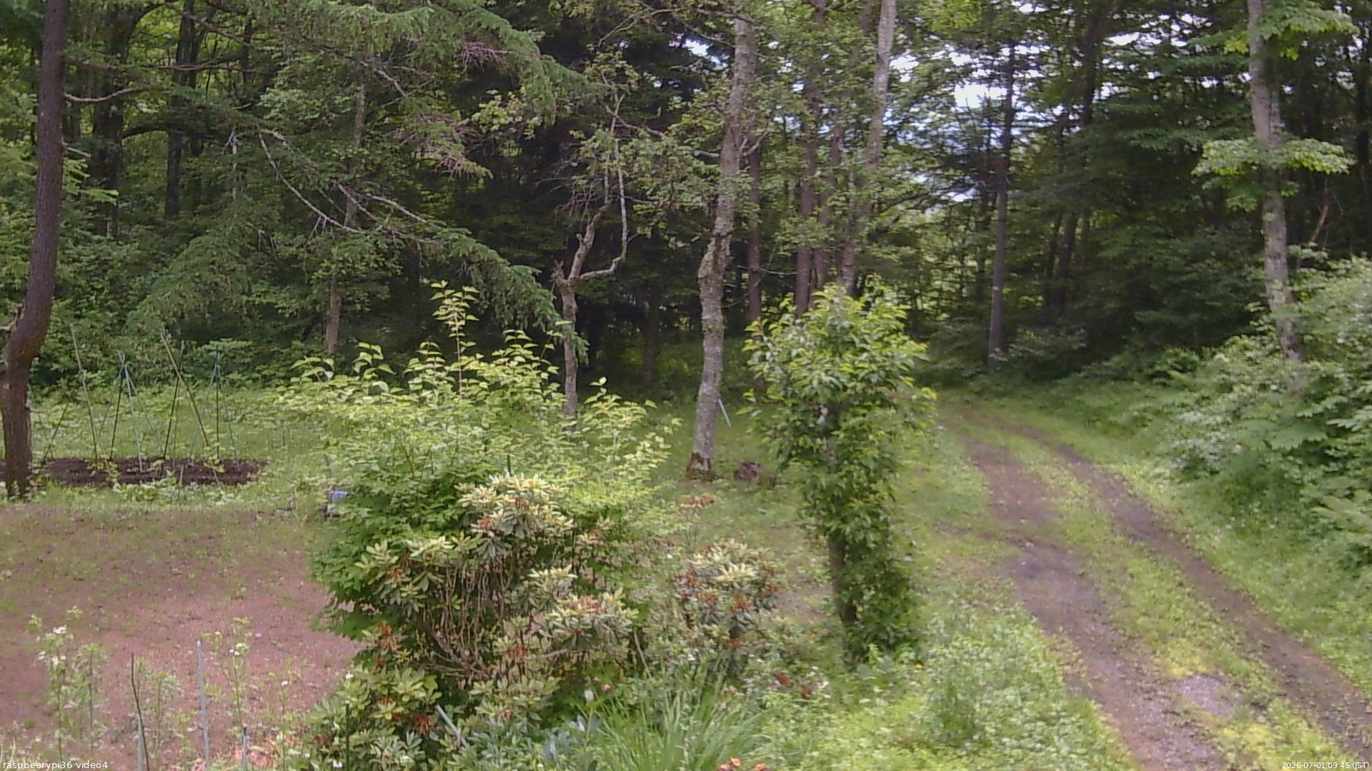長野県菅平高原 ゆたか山荘 坂上 2026/07/01 09:45